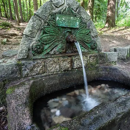 Reva Johannisbad